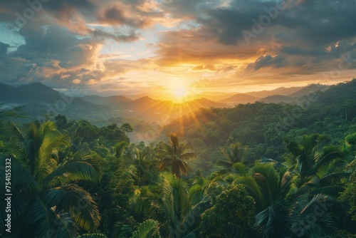The setting sun casts a warm glow over the dense foliage of the rainforest  adding to its enchanting beauty.
