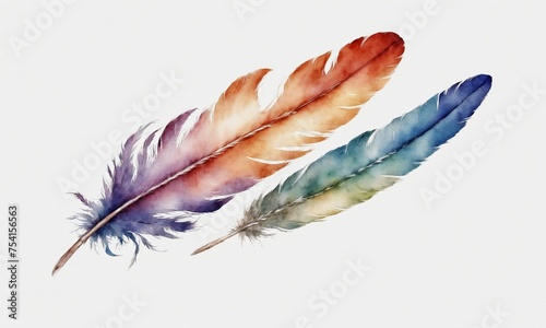 Watercolor feathers isolated on white background. Hand-drawn illustration.