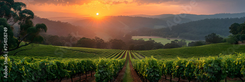 A Picturesque Vineyard At Sunset With Rows, Sunset over a vineyard with a sunset, 