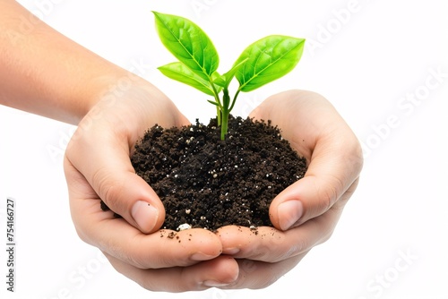 a person holding a small plant in dirt