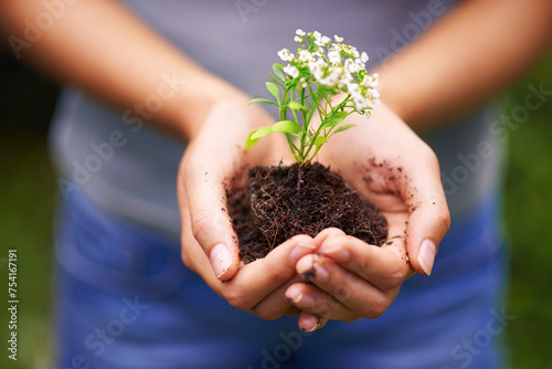 Soil, sustainable and hands of woman with plant for eco friendly, agriculture or agro gardening. Dirt, environment and closeup of female person with blooming flower in nature for outdoor horticulture