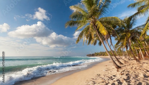  Plage tropicale de sable blanc avec des cocotiers sans personne.