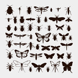 flat design insect silhouette collection