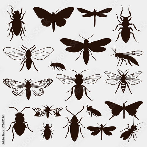 flat design insect silhouette collection © AinStory