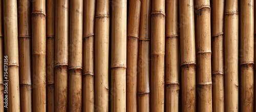 This close-up view showcases the intricate pattern and texture of a bamboo wall  highlighting the natural beauty of the material with its unique grain and fibers.