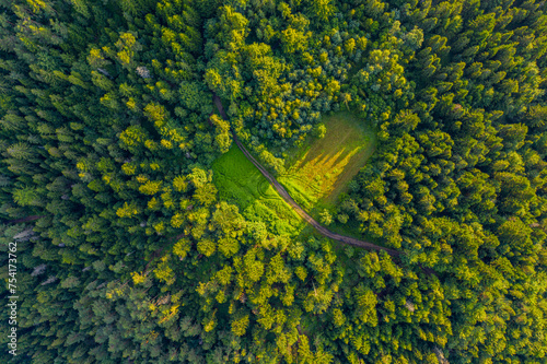 Zielone serce w lesie photo