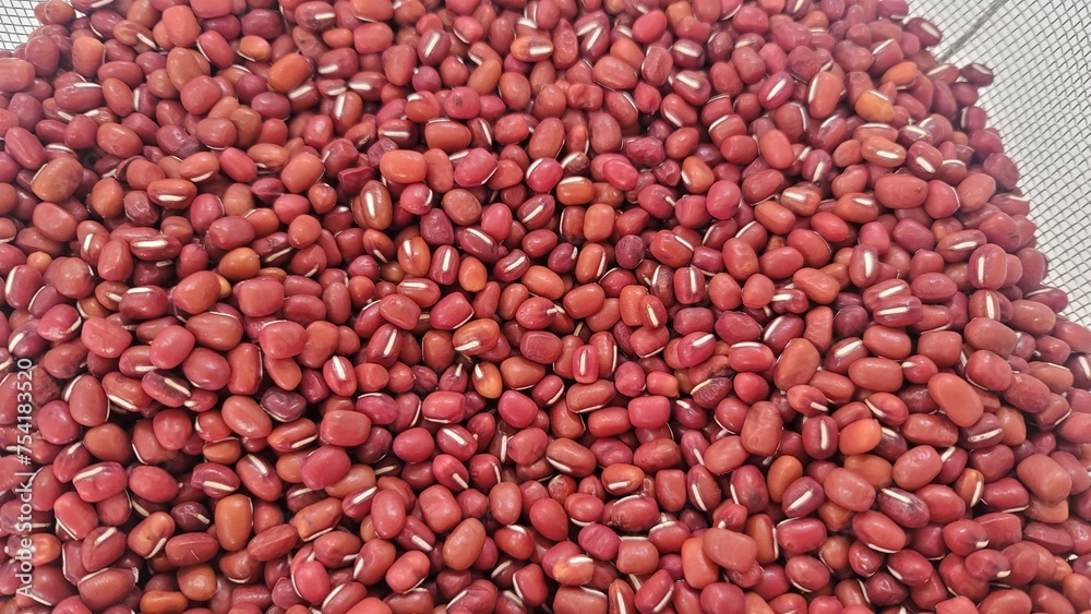 大納言小豆・乾燥豆/Dainagon, red beans, dried beans/큰 납언 · 팥 · 건조 콩 大納言小豆・乾燥豆/Dainagon, red beans, dried beans/큰 납언 · 팥 · 건조 콩