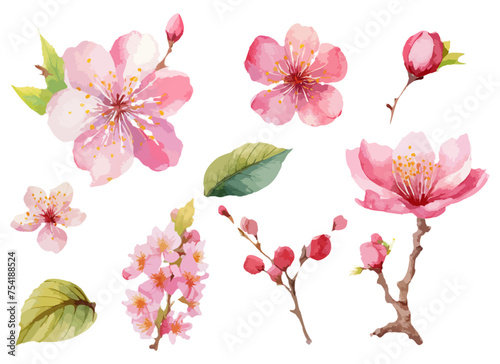 桜　水彩風イラストセット