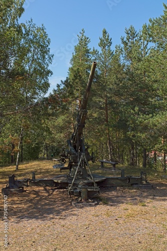 Old WW2 anti-aircraft gun aimed at the sky in forest in summer.