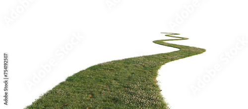 Grass path isolated on transparent background. 3D rendering.	
