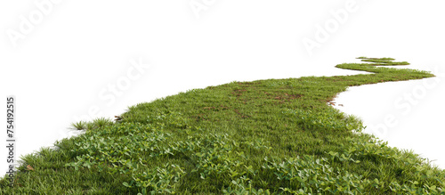 Grass path isolated on transparent background. 3D rendering.	
