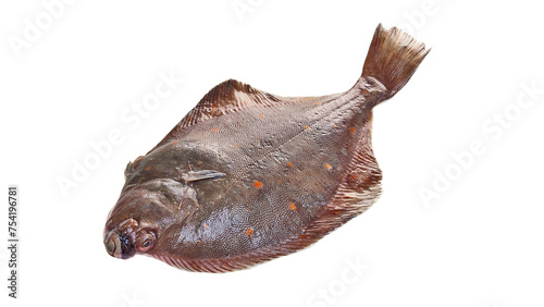 Plaice fish frozen isolated on white with clipping path