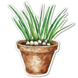 Bulbous plant , young shoots in a brown pot, vintage watercolor , natural color, 3d sticker.