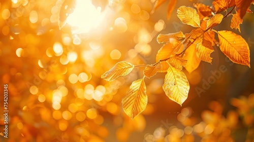 Golden Majesty. Embracing the Beauty of Autumn with its Radiant Golden Scenery