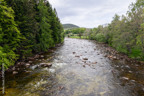 Scottish river, flanked by dense, vibrant green forests, flows gently over a rocky bed. The lush landscape opens up to rolling hills in the distance, painting a picturesque scene of tranquility