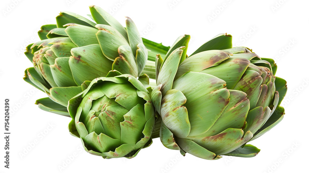 artichoke isolated on white background artichoke isolated on white background