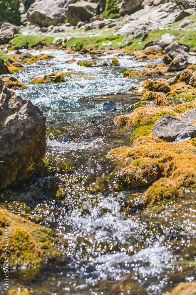 Mountain stream, river of clear water flows over stones in the Fan Mountains in Tajikistan Mountain stream, river of clear water flows over stones in the Fan Mountains in Tajikistan
