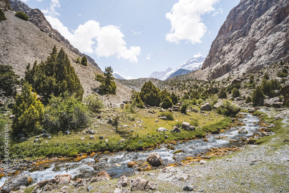 Fototapeta premium A mountain river flows in a valley in the Fann Mountains against the backdrop of rocky slopes and peaks with glaciers in Tajikistan, a mountain stream and a valley with vegetation