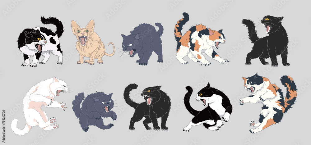 angyy cat set, mad cat,baring teeth, displaying an angry and defensive ...