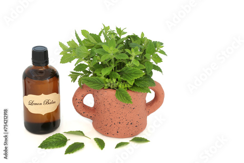 Lemon balm herb with essential oil bottle. Used in aromatherapy and natural herbal medicine to relieve anxiety, stress and improve gut health. On cream background. Melissa officinalis