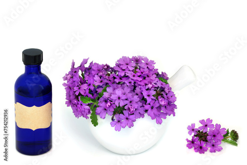 Verbena herb flowers and aromatherapy essential oil bottle used in herbal medicine as a sedative, treats insomnia, depression, arthritis and heart conditions. On white. Verbena bonariensis.