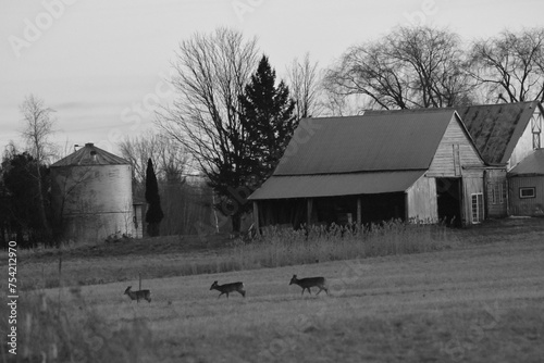 La Plaine 8 Mars 2024 - N&B photo