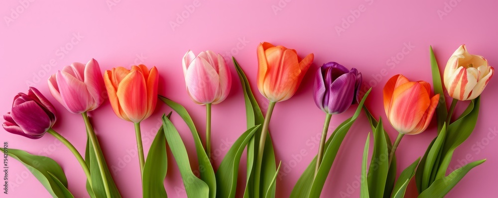 tulips background. tulips background.