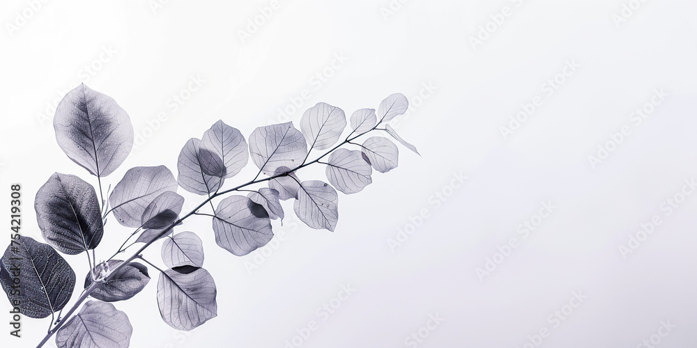 horizontal black & white illustration of a plant branch with small round transparent leaves, copy space. Generative AI horizontal black & white illustration of a plant branch with small round transparent leaves, copy space. Generative AI