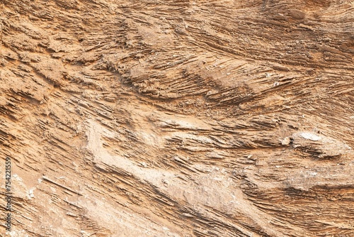 Background texture of limestone surface. Warm fossil rock texture.