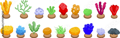 Sponge seaweed plant icons set isometric vector. Underwater weed. Deep reef flora
