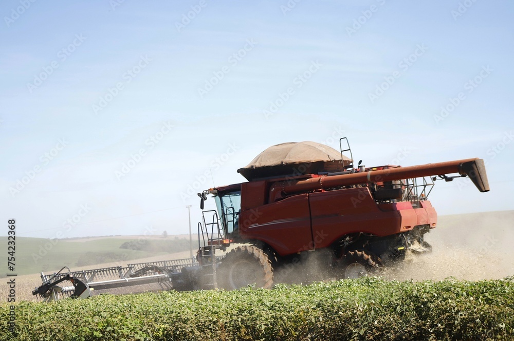 Fototapeta premium Trator colheitadeira realizando colheita de plantação madura de soja.