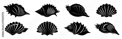 Set of sea shells. Collection of seashell silhouettes