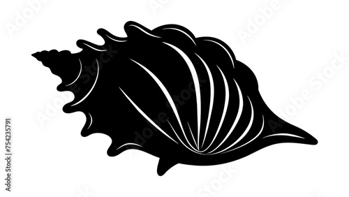 Seashell. Isolated seashell on white background