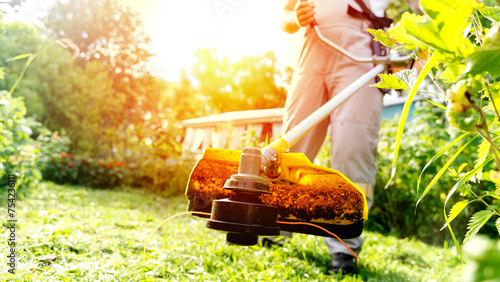 gardener with grass trimmer mows green lawn on