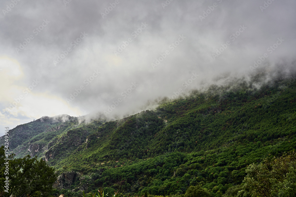 paisaje de montaña en un día de tormenta paisaje de montaña en un día de tormenta