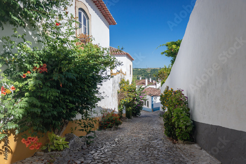 Fototapeta Naklejka Na Ścianę i Meble -  in Obidos town, Oeste region, Leiria District of Portugal