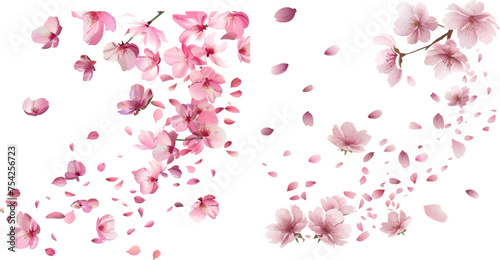 Pink falling sakura petals and flowers.Nature