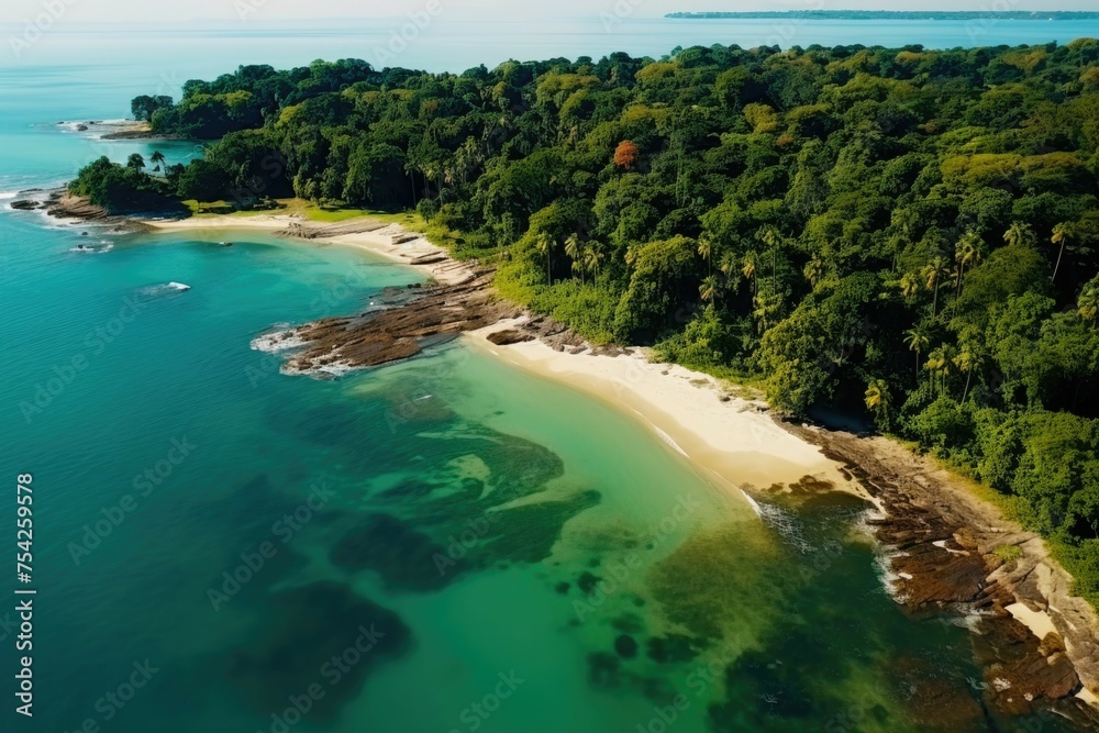 Obraz premium Aerial view of a beach and forest, perfect for travel and nature concepts