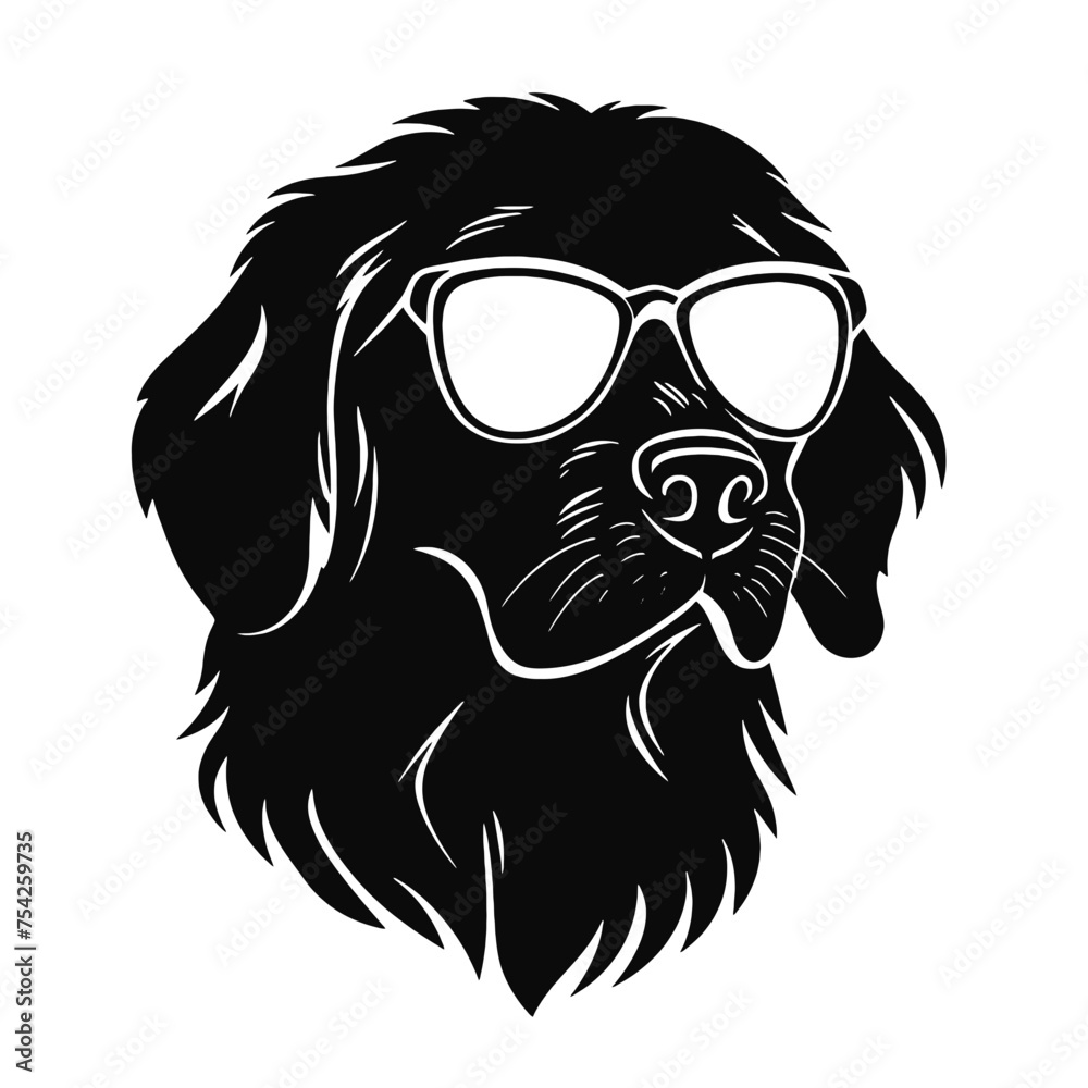 Golden retriever dog Golden retriever dog