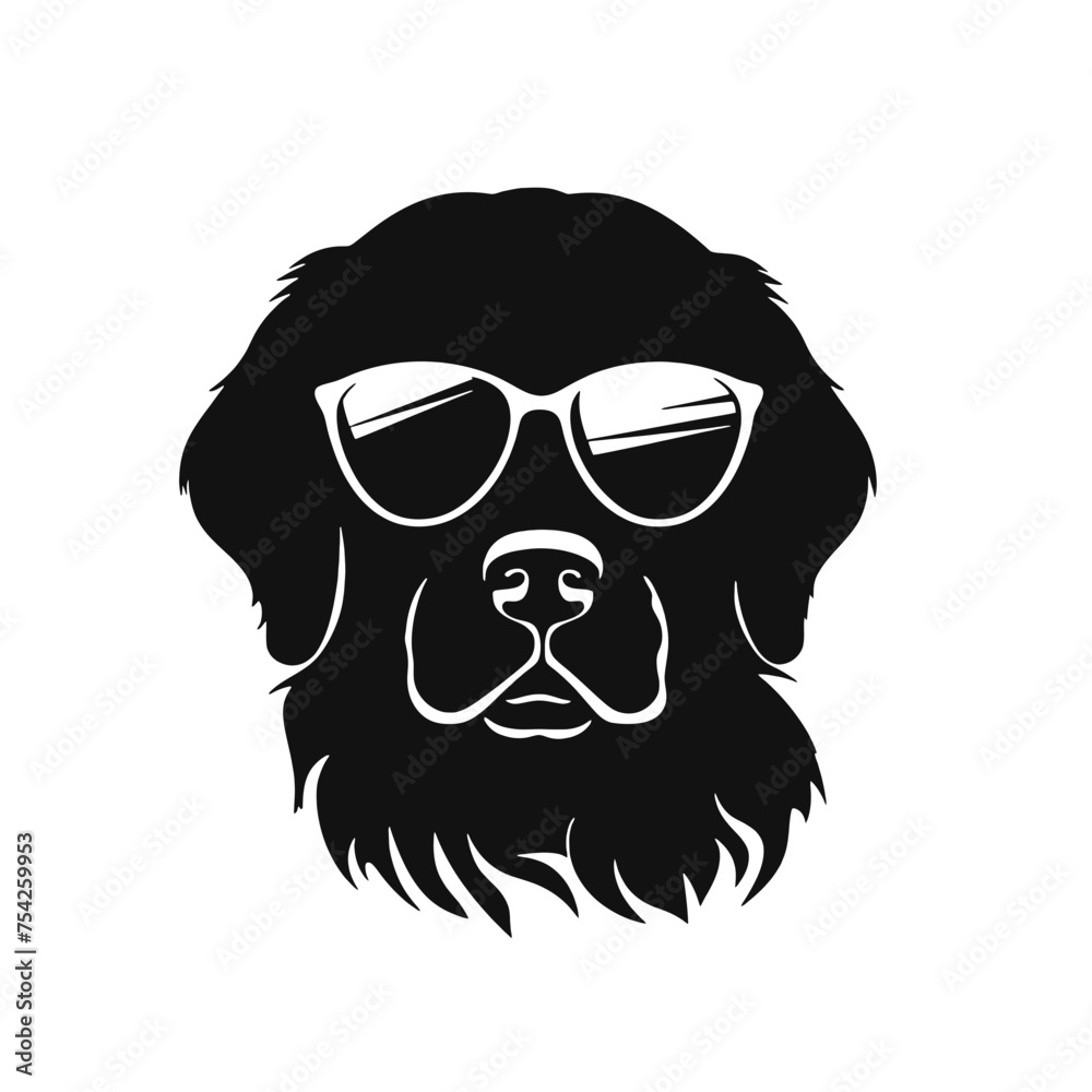 Golden retriever dog Golden retriever dog
