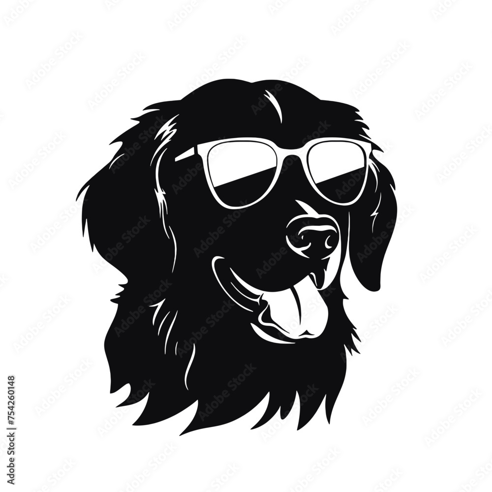 Golden retriever dog Golden retriever dog