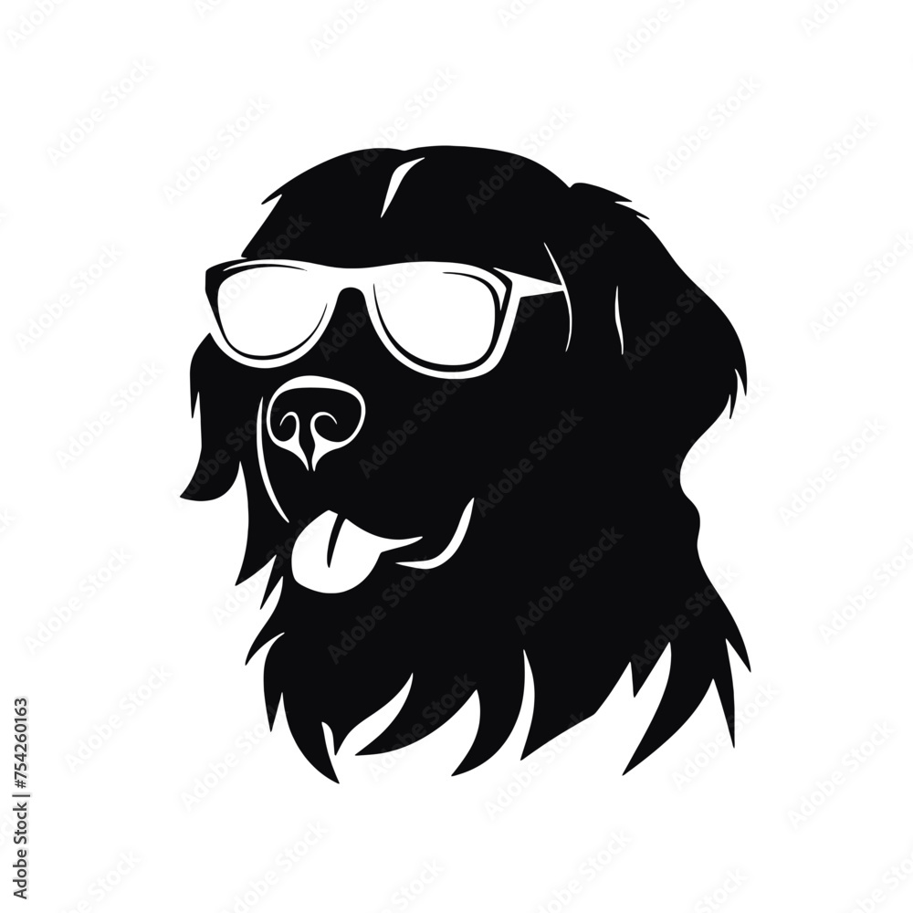 Golden retriever dog Golden retriever dog