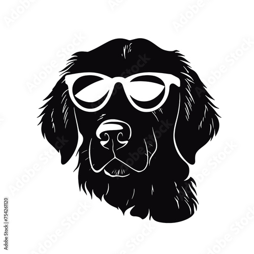 Golden retriever dog, 