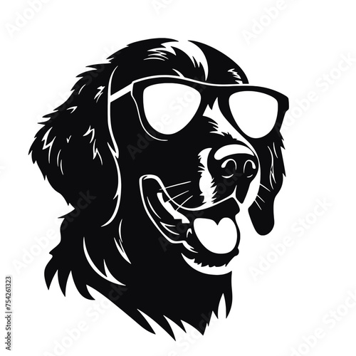 Golden retriever dog, 
