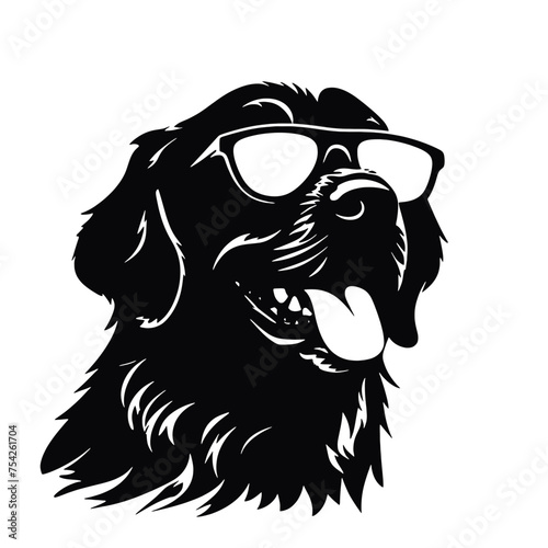 Golden retriever eyeglasses