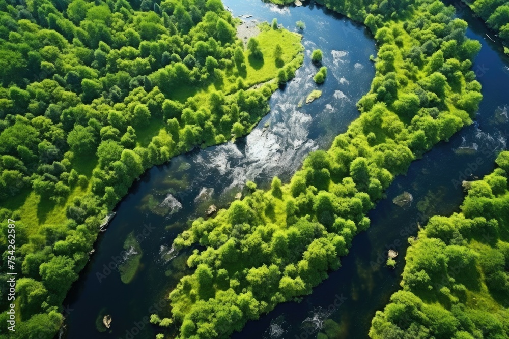 A scenic view of a river flowing through a vibrant green forest. Perfect for nature backgrounds
