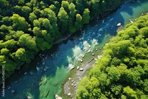 Serene river flowing through a vibrant green forest, ideal for nature-themed designs