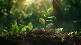 A young plant sprouting from the earth with rays of sunlight illuminating it. portrayal of growth, nature and new beginnings. ideal for environmental concepts. AI