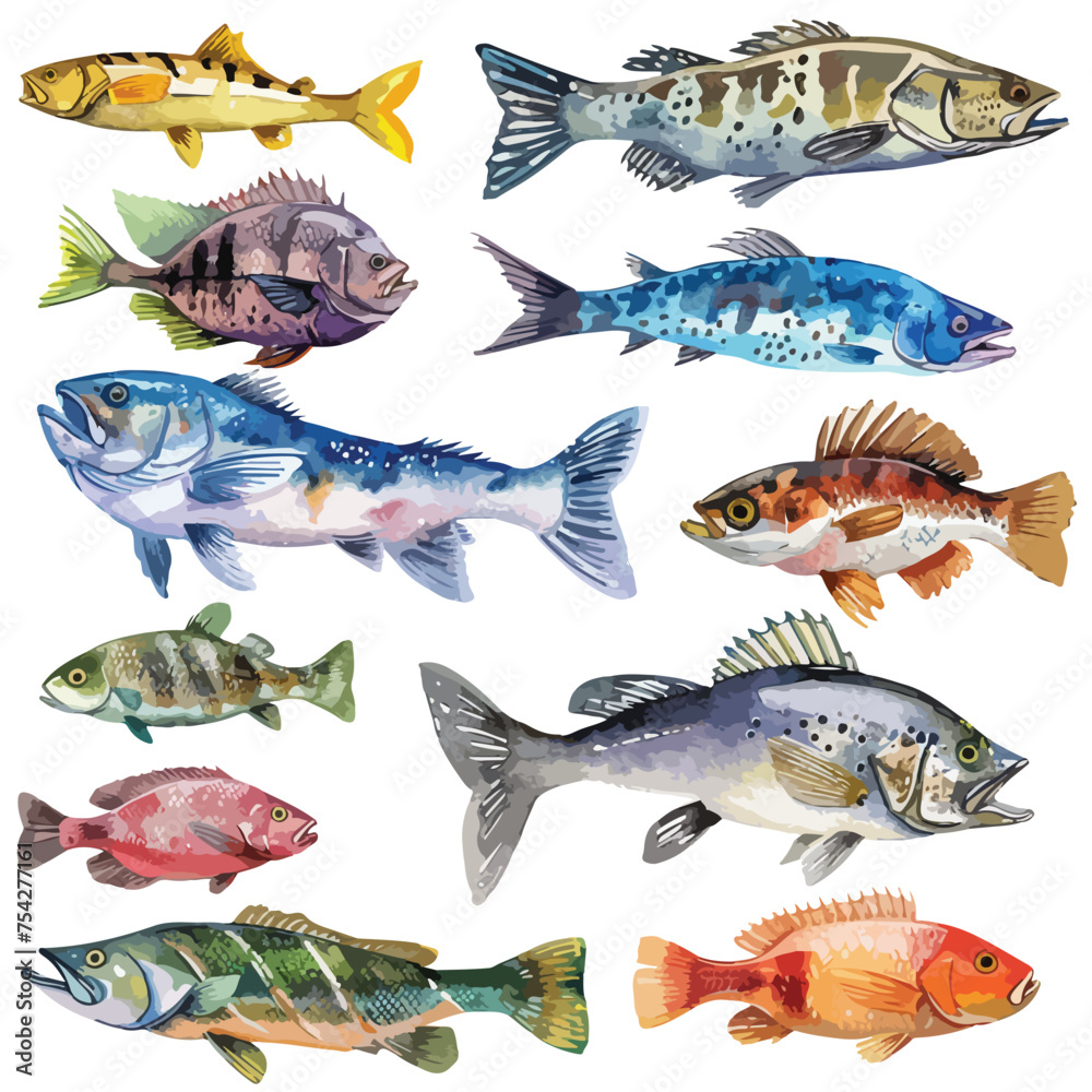 A collection of different types of fish. watercolor clipart