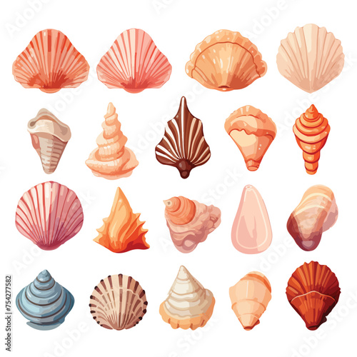 A collection of different types of shells. vector clipart